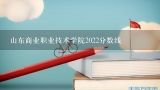 山东商业职业技术学院2022分数线,山东商业职业技术学院对口高职会计专业的分数线是多少