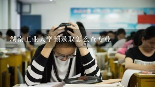 湖南工业大学预录取怎么查专业