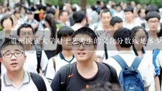 贵州民族大学对于艺考生的文化分数线是多少？