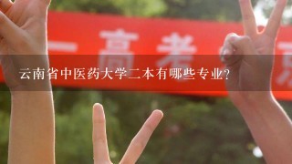 云南省中医药大学二本有哪些专业？