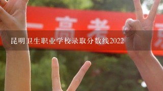 昆明卫生职业学校录取分数线2022