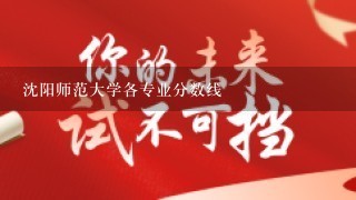 沈阳师范大学各专业分数线