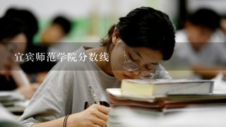 宜宾师范学院分数线