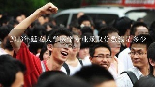 2013年延安大学医学专业录取分数线是多少