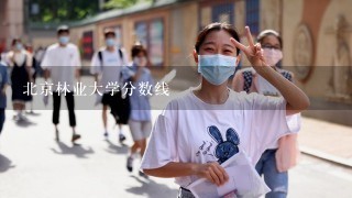 北京林业大学分数线