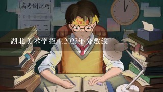 湖北美术学招生2023年分数线