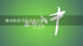 潍坊职业学院录取分数线