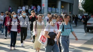 河北农业大学专升本录取分数线