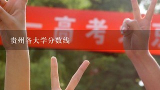 贵州各大学分数线