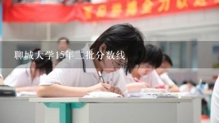 聊城大学15年二批分数线