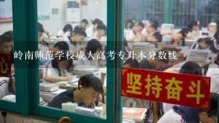 岭南师范学校成人高考专升本分数线