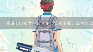 我属于山东考生艺术文、美术专业。统考分227，高考成绩391（本科线295）可以报哪些省内学校