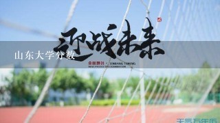 山东大学分数