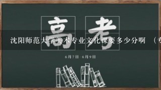 沈阳师范大学美术专业文化课要多少分啊 （专业260分）