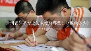 贵州表演系专业的大专有哪些？分数线多少？零基础可以报吗？