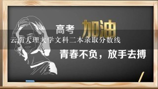 云南大理大学文科二本录取分数线