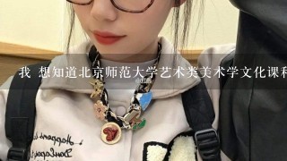 我 想知道北京师范大学艺术类美术学文化课和专业课要多少分能考上？