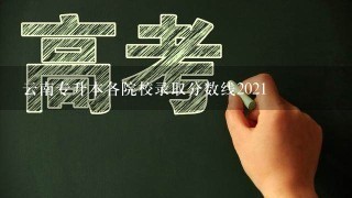 云南专升本各院校录取分数线2021