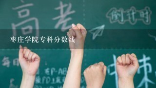 枣庄学院专科分数线