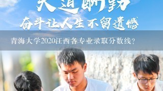 青海大学2020江西各专业录取分数线？