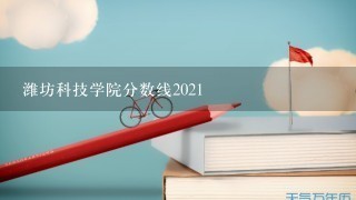 潍坊科技学院分数线2021