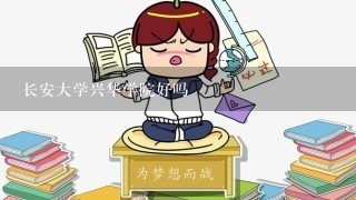 长安大学兴华学院好吗