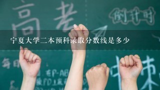 宁夏大学二本预科录取分数线是多少