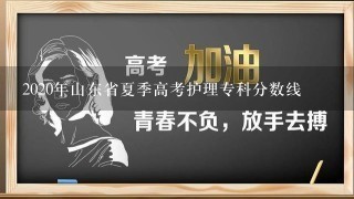 2020年山东省夏季高考护理专科分数线