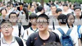 岳阳职院软件专业录取分数线大概是多少呀？