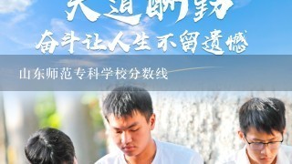 山东师范专科学校分数线