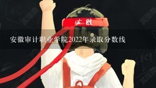 安徽审计职业学院2022年录取分数线