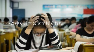 小语种专升本公立学校分数线