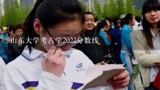 山东大学考古学2022分数线