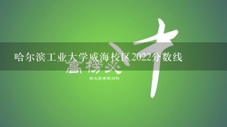 哈尔滨工业大学威海校区2022分数线