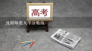 沈阳师范大学分数线