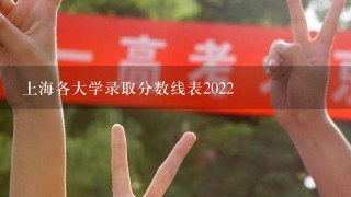 上海各大学录取分数线表2022