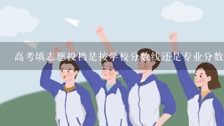 高考填志愿投档是按学校分数线还是专业分数线？