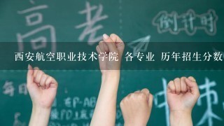 西安航空职业技术学院 各专业 历年招生分数