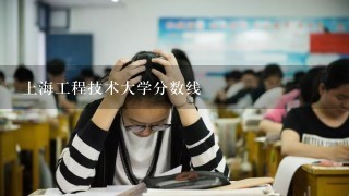 上海工程技术大学分数线