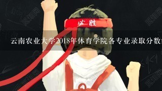 云南农业大学2018年体育学院各专业录取分数线是多少？