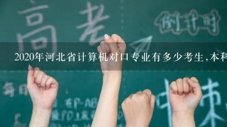 2020年河北省计算机对口专业有多少考生,本科录取率多少？