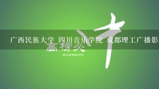 广西民族大学 四川音乐学院 成都理工广播影视学院 中原工学院长春工业大学广播电视编导往年的录取分数线是多少 文化分 和专业