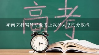 湖南文科编导专业考上武汉大学的分数线