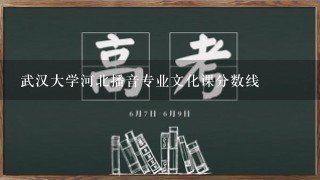 武汉大学河北播音专业文化课分数线