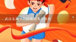 武汉东湖学院技能高考分数线