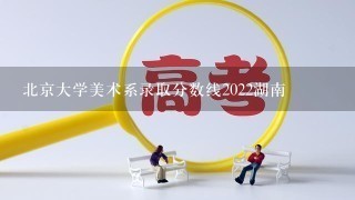 北京大学美术系录取分数线2022湖南