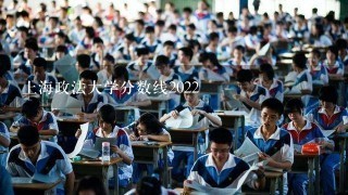 上海政法大学分数线2022