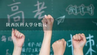 陕西医科大学分数线