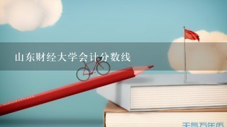 山东财经大学会计分数线