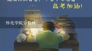 怀化学院分数线